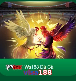 visa188